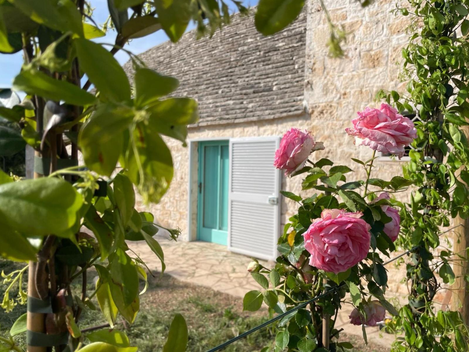 Giardino Dei Trulli Cummerse Faccia di Trippa di Monte 外观 照片